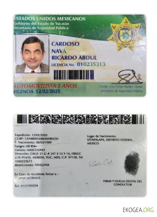 Mexico Yucatan state driving license
